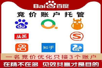 实战技巧：竞价推广案例解析与优化策略